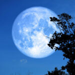 Pleine lune décembre 2025